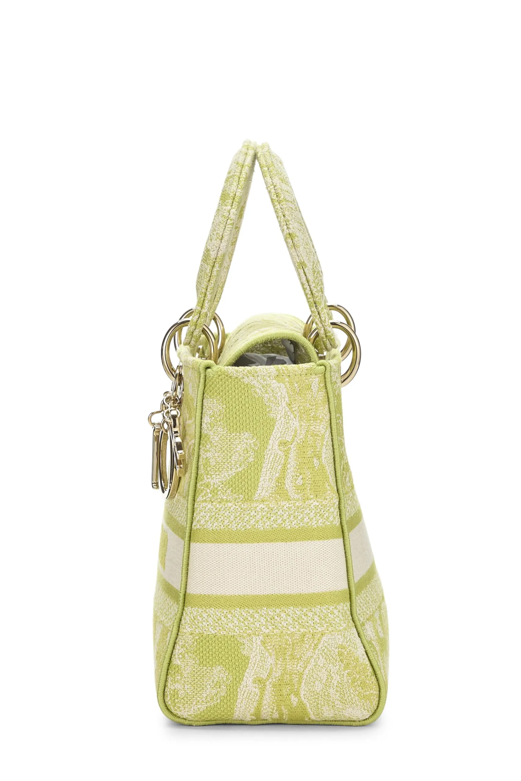 Dior,  Green Embroidered Canvas Lady D-Lite Medium, Green